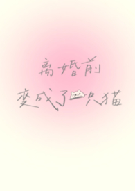 离婚前变成了一只猫（1V1）离婚前变成了一只猫（1V1）